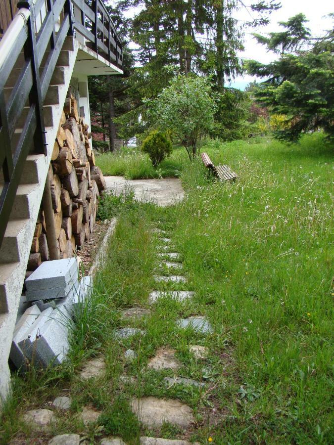 Chalet De L'Esquirol Bolquere Pyrenees 2000 Dış mekan fotoğraf